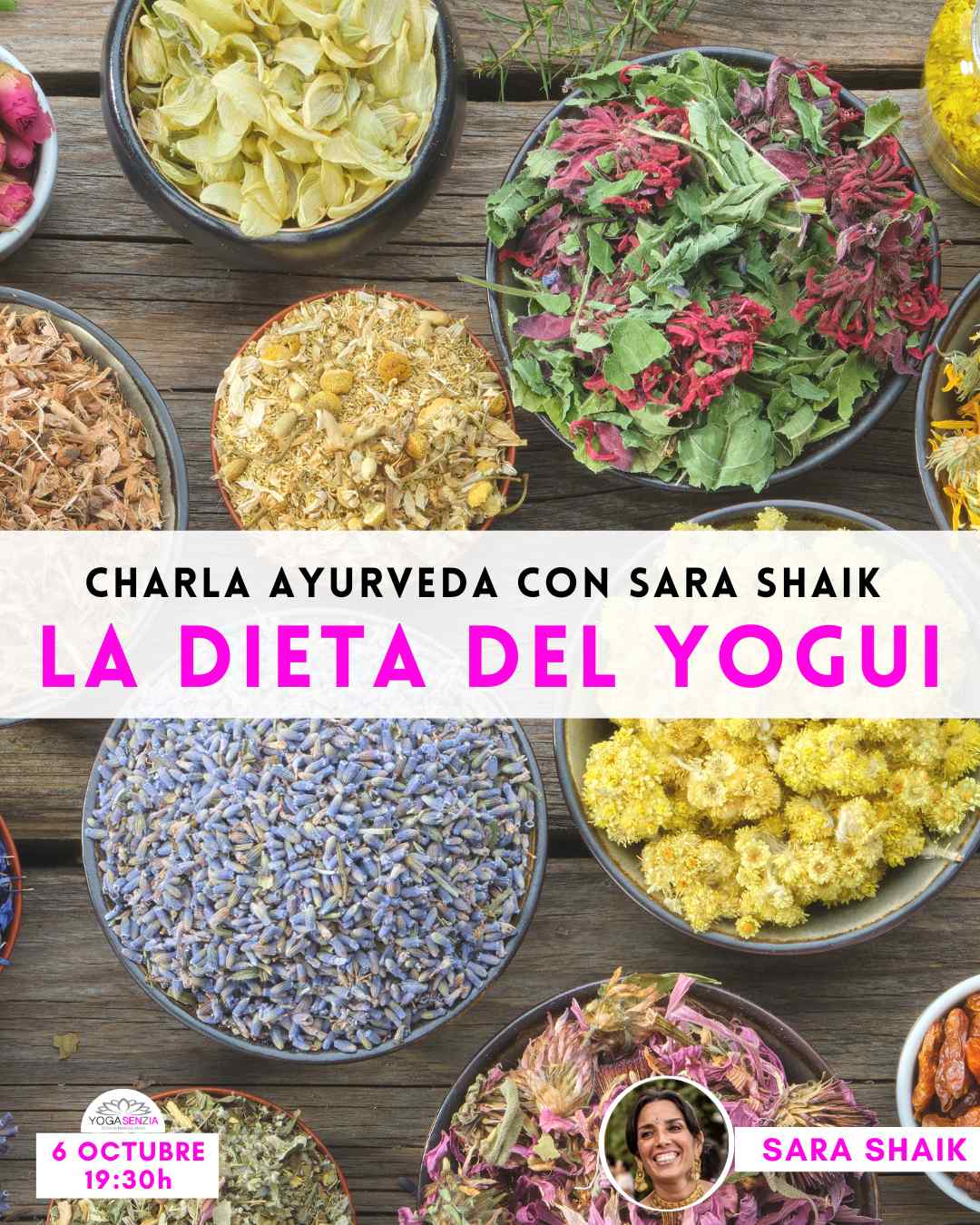 LA DIETA DEL YOGUI